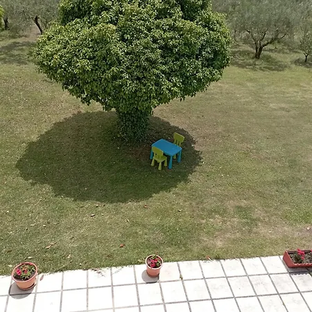 Olive Mare Holidays * Nea Irakleia