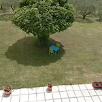 Olive Mare Holidays * Nea Iraklia