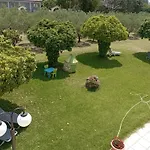 Olive Mare Holidays Nea Iraklia