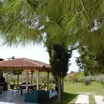 Apartamento Olive Mare Holidays *