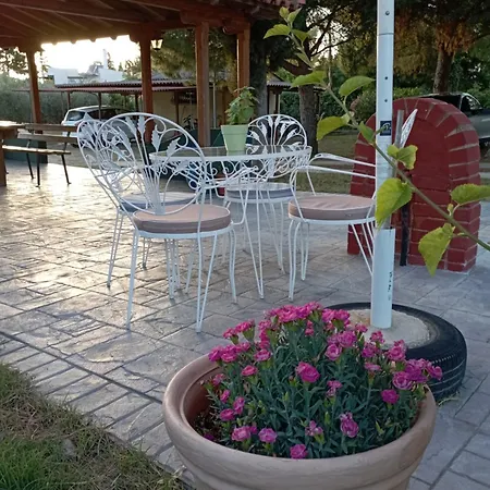 Olive Mare Holidays * Nea Iraklia