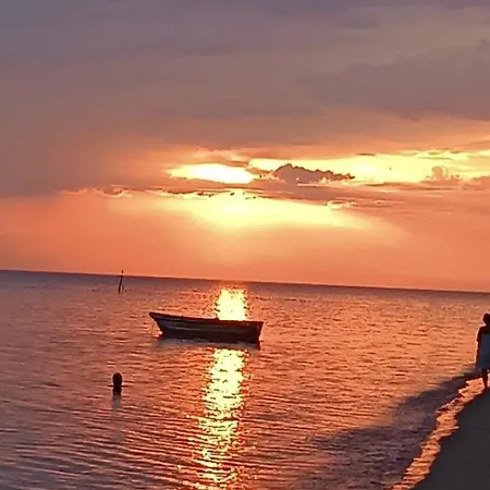 Olive Mare Holidays アパート *