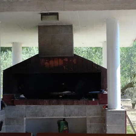 Olive Mare Holidays *