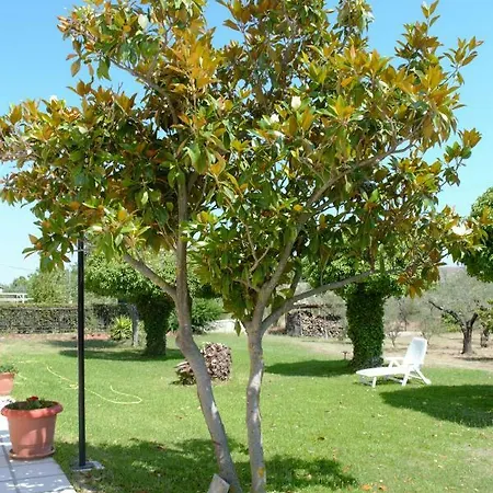 アパート Olive Mare Holidays ネア・イラクリア