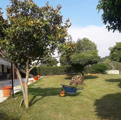 Olive Mare Holidays Nea Iraklia