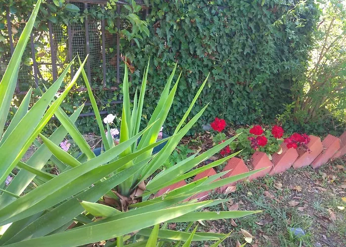 Daire Olive Mare Holidays Nea Iraklia