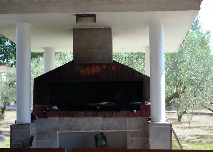 Olive Mare Holidays *