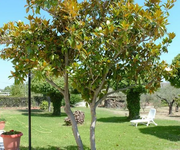 Daire Olive Mare Holidays Nea Iraklia