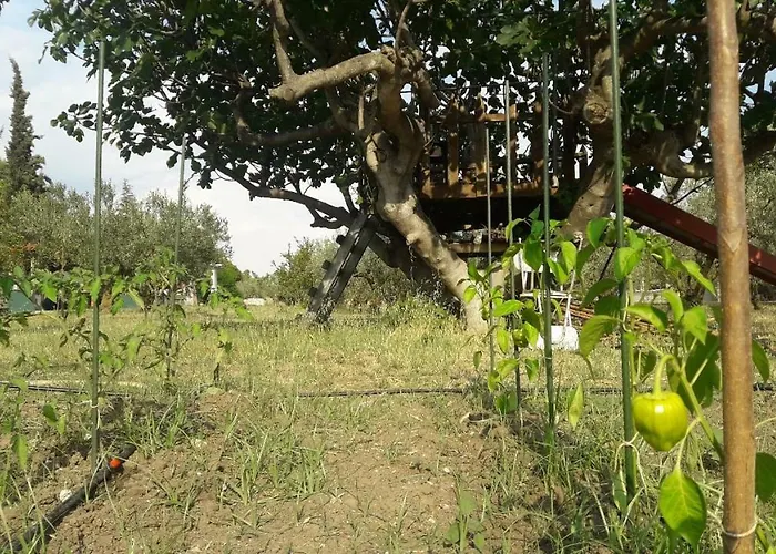 Olive Mare Holidays Daire