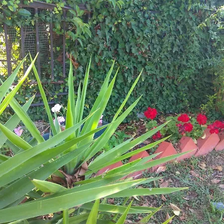 Apartman Olive Mare Holidays Néa Iráklia