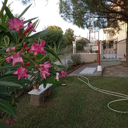 Olive Mare Holidays
