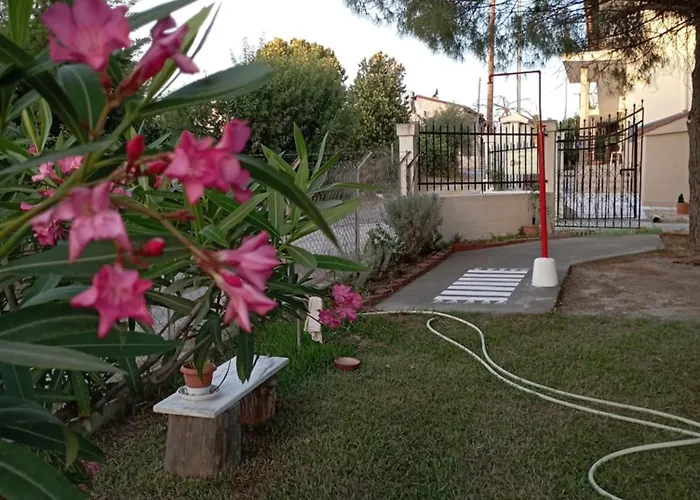 Olive Mare Holidays